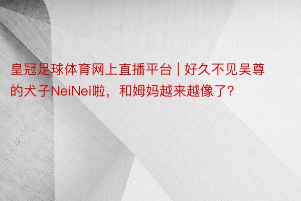 皇冠足球体育网上直播平台 | 好久不见吴尊的犬子NeiNei啦，和姆妈越来越像了？