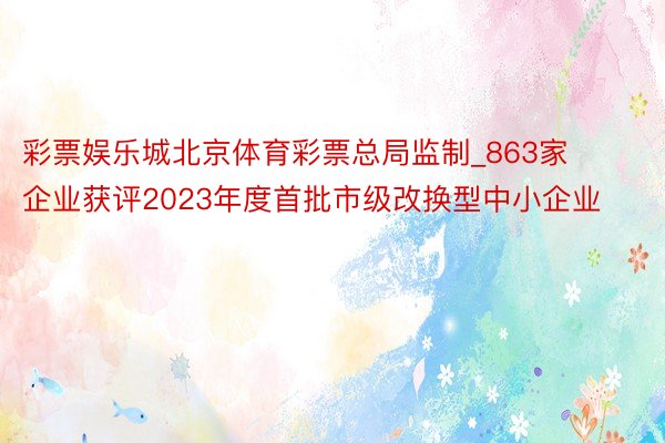 彩票娱乐城北京体育彩票总局监制_863家企业获评2023年度首批市级改换型中小企业