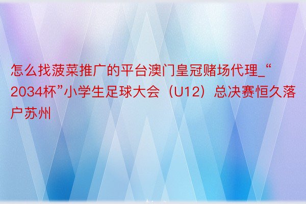 怎么找菠菜推广的平台澳门皇冠赌场代理_“2034杯”小学生足球大会（U12）总决赛恒久落户苏州