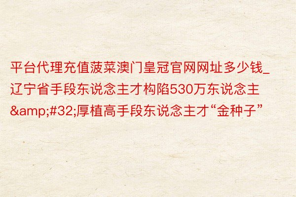 平台代理充值菠菜澳门皇冠官网网址多少钱_辽宁省手段东说念主才构陷530万东说念主&#32;厚植高手段东说念主才“金种子”