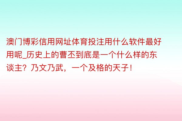 澳门博彩信用网址体育投注用什么软件最好用呢_历史上的曹丕到底是一个什么样的东谈主？乃文乃武，一个及格的天子！